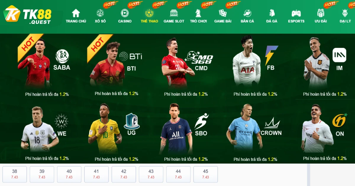 Cá cược bóng rổ – Chiến thuật đặt cược theo hiệu suất ghi điểm