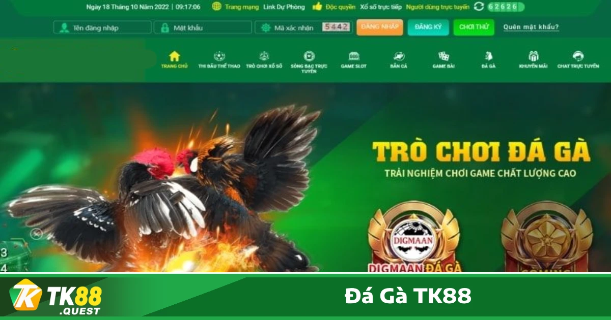 Các Trận Đấu Đá Gà Được Yêu Thích Nhất Tại TK88